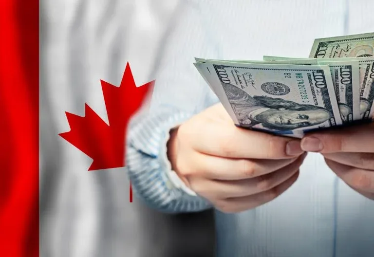 Thumbnail Picture of Why Rural Areas Choose Instant Loans in Canada for Emergencies by Nova Cash